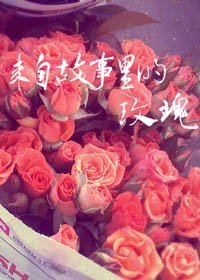 來自故事裡的玫瑰